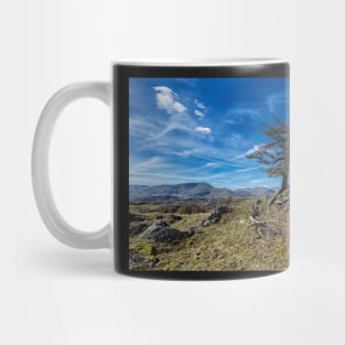 Arnside to Birk Fell Mug